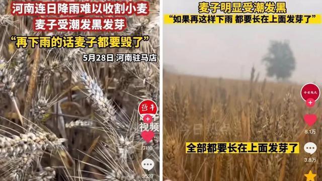 河南收割机滞留高速事件，是谁在背锅？