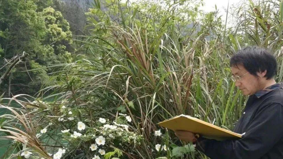 吴茀之书画艺术鉴赏讲座