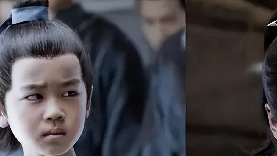 平民阶层收养义男，对于个人和国家来说，有何影响？