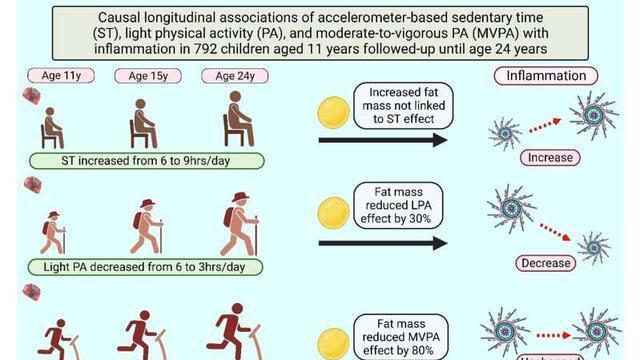 医生|临床内分泌学与代谢：轻度活动身体，就能抵消久坐带来的炎症风险！