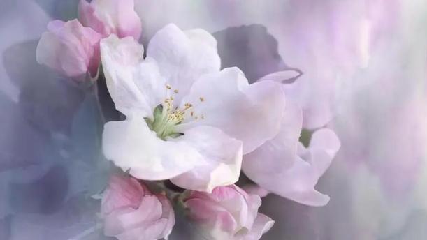 双子座8月下半月指南，可以主动表达心意，是可以很顺利地发展的