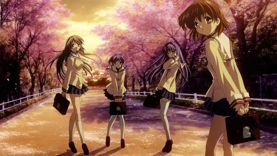 备好纸巾，《Clannad》，一部让你沉浸情感共鸣