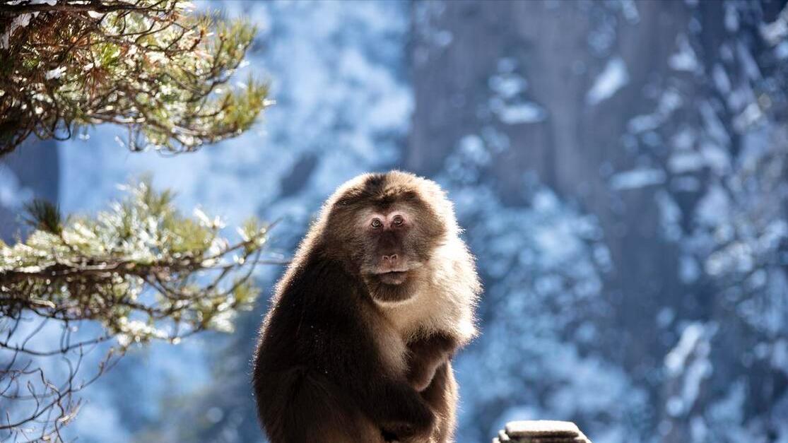 7月份桃花运爆棚，找到真爱，脱离单身的三大生肖