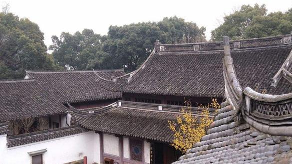 明朝僧侣困境：身份压制与朝廷限制制约群体兴衰