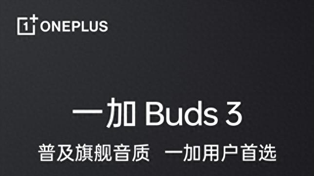 将旗舰普及进行到底，一加 Buds 3将与一加Ace3同台发布