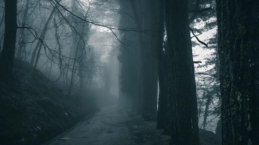 参加登山旅行，半夜看到了被绳子吊在房梁上的白裙女人，老公抱起我就跑，跑向了地狱……