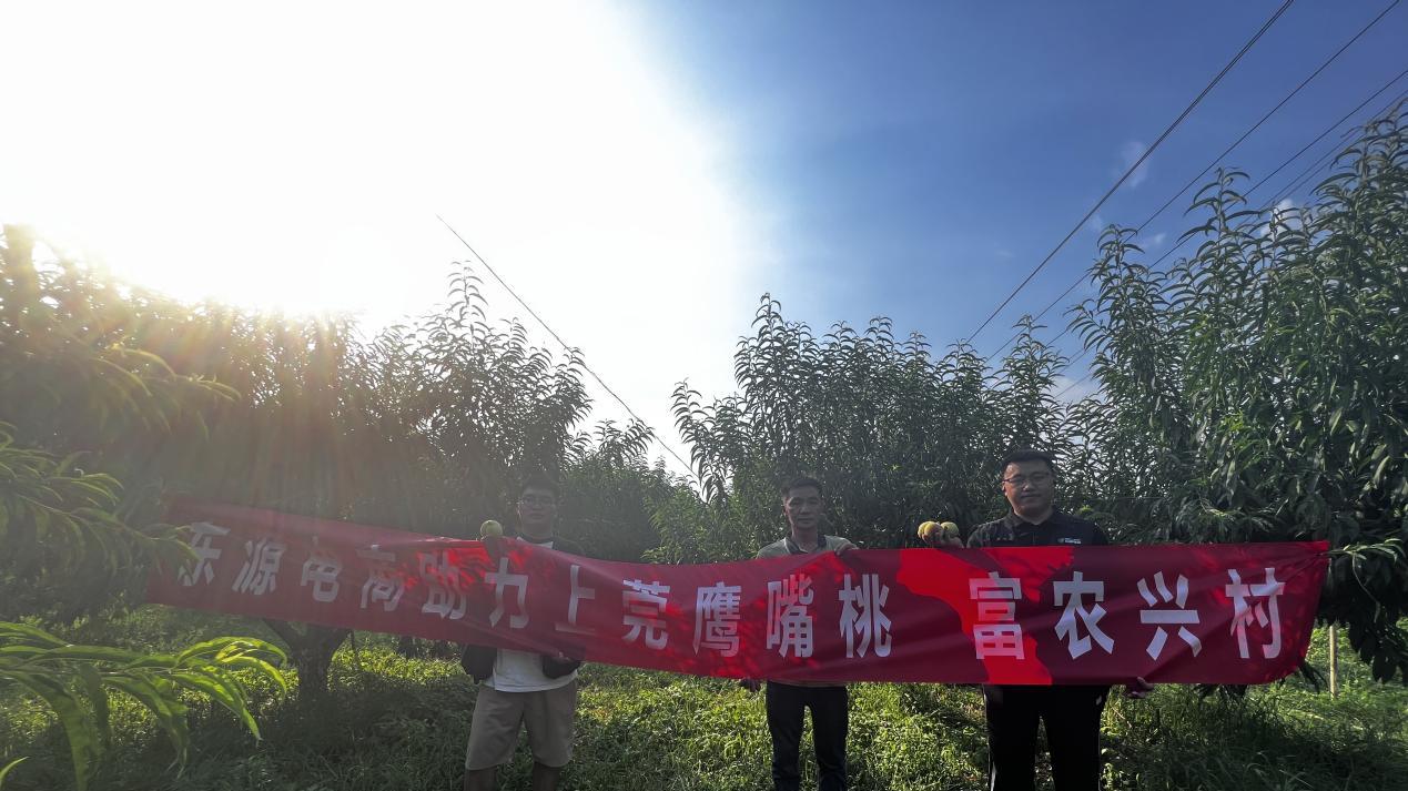 东源电商助力上莞鹰嘴桃，推动农业与电商新发展