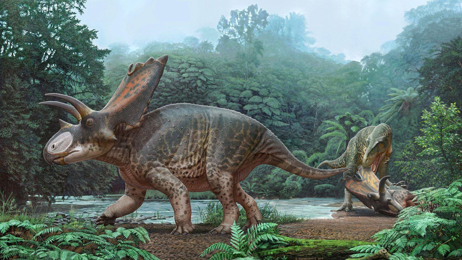 如果恐龙活到现在，人类将何去何从？