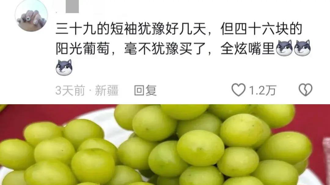 没福硬享！有时候真被自己穷笑了，但想着对独生嘴好点宠点怎么了