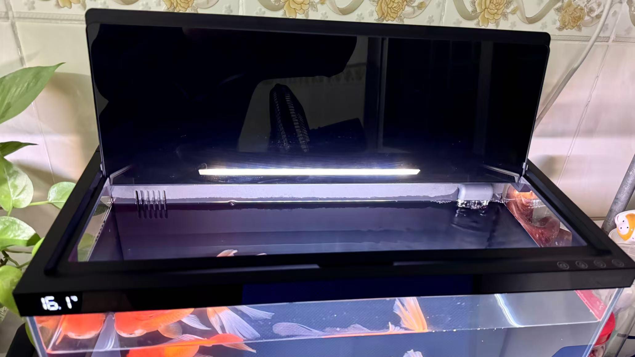 2025年鱼缸应该怎么选？当贝智能鱼缸1Ultra实测：八大AI黑科技，全面开启智能养鱼新时代，小白