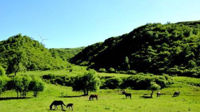 古坡草原：天水的绿野仙踪