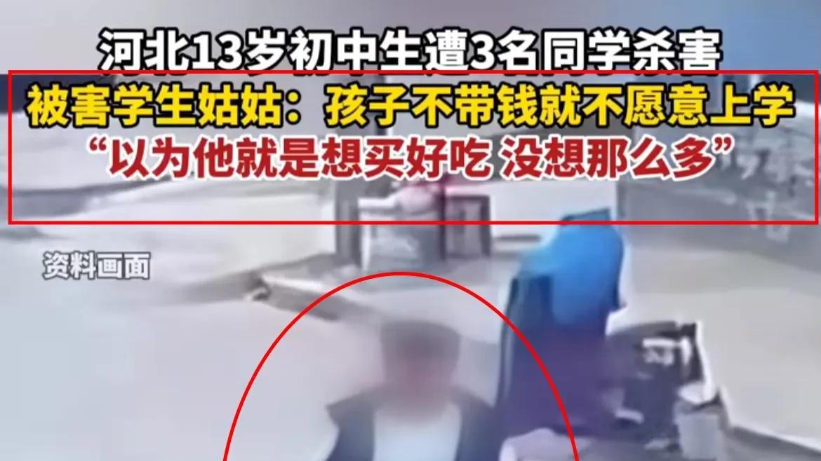 邯郸初中生被害案一审宣判：三人获刑，未成年犯罪之痛引人深思