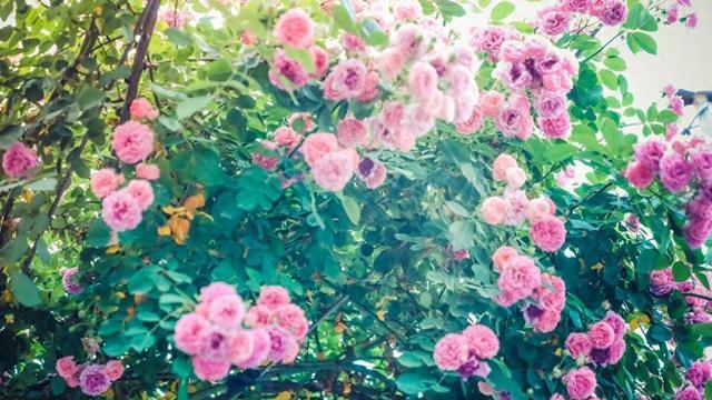 在这个内卷严重的社会，用蛮力是走不远的