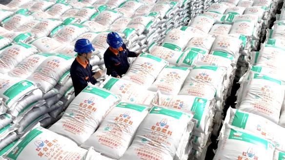 “粪水浇菜”延续千年！专家：用粪水浇种的蔬菜不能吃，这是为啥