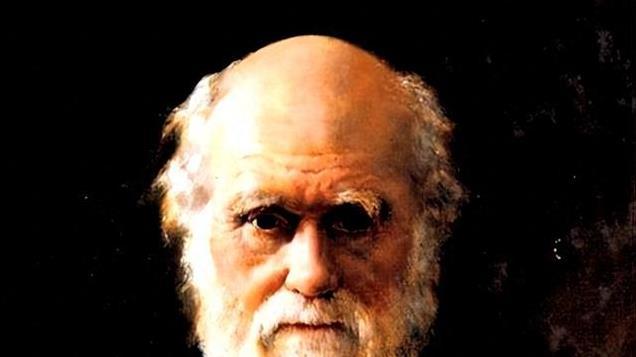 进化论要被推翻了？“史前文明”证据被发现，看看专家是咋说的