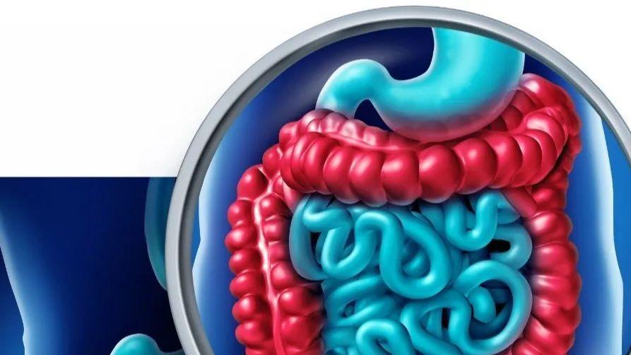 卫康：深度布局肠道微生态 打造权威全景产业链