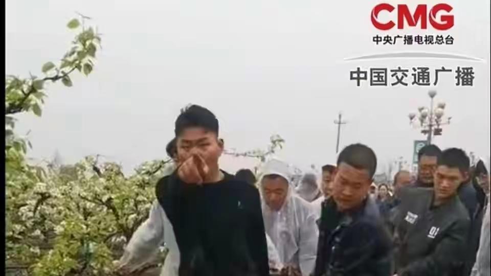 “果园遭强拆”当事人再发声：家人像牲口一样被拖走