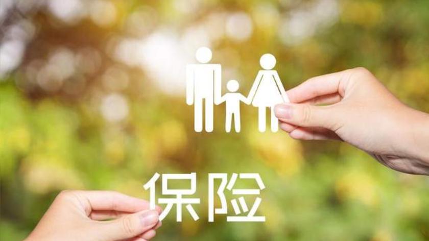 奋楫向前 高质量发展阔步行 ——2024年中国人寿保险股份有限公司发展回望