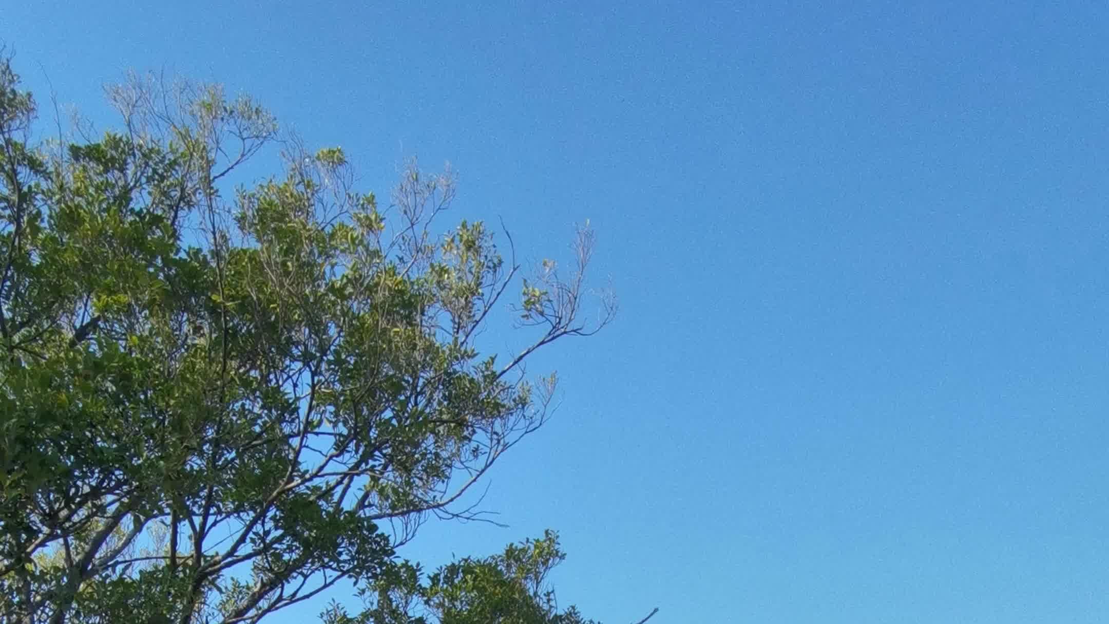 外包客服与网店店铺的合作典范