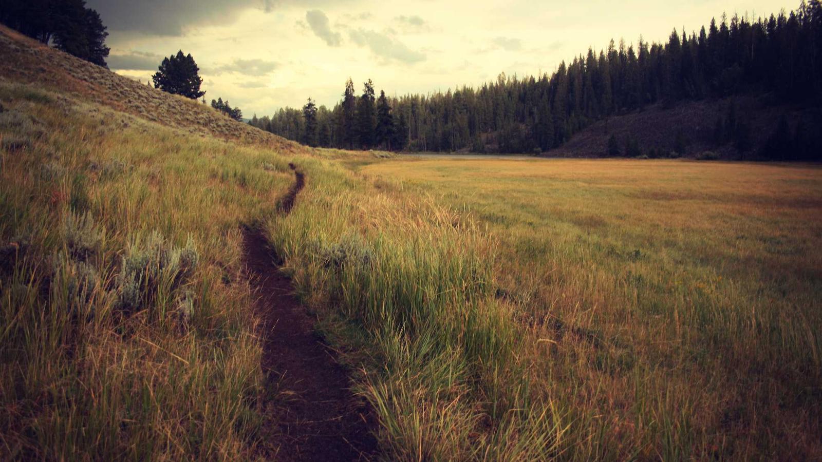 缺乏安全感的星座盘点：你是其中之一吗？