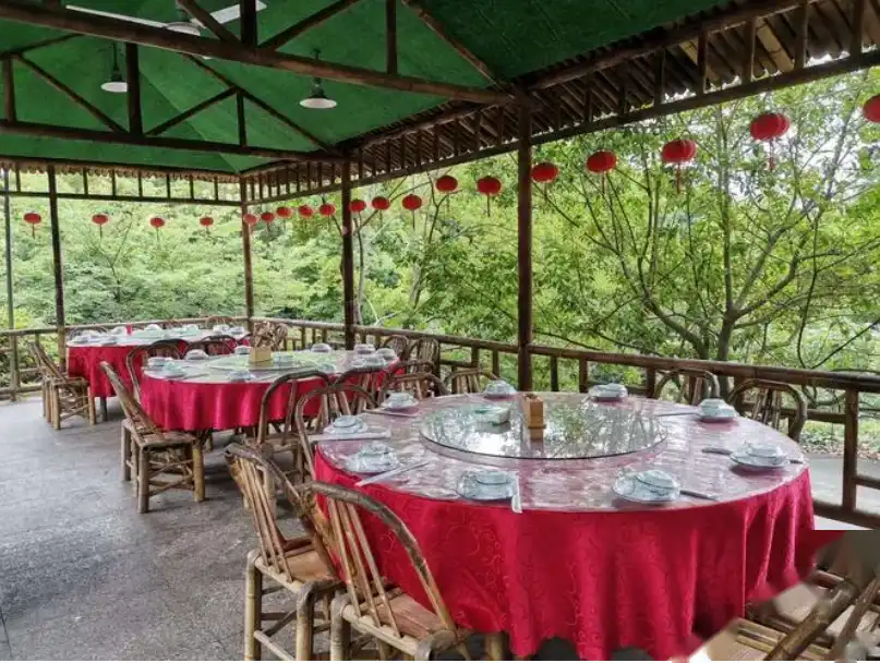 把自己“作死”的农家乐，无情宰客，一份素菜七八十，倒闭8万家