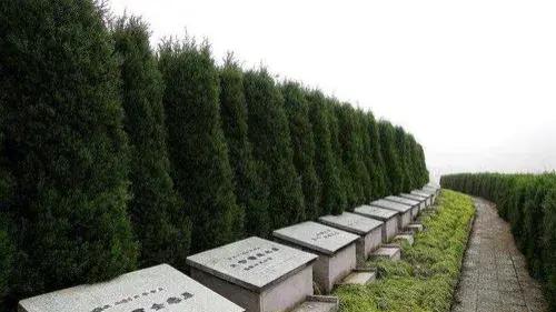 气人！老伴去世，多年前买好的墓地却被卖，老人愤怒起诉儿子儿媳