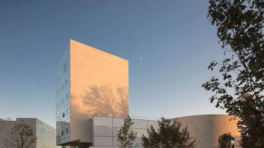 2027届普林斯顿新生背景揭秘：亚裔公立美高生的非凡旅程——打破常规赢得名校青睐！