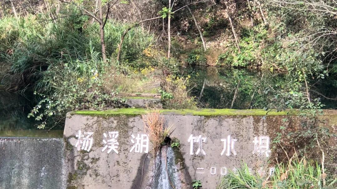 41 关口杨溪皂水库