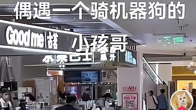 武汉“小孩哥”在商场骑机器狗，售价40万元，商家：这款是工业级