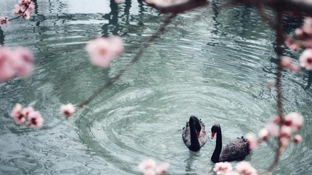 不要给自己待机的机会，想做什么就行动起来