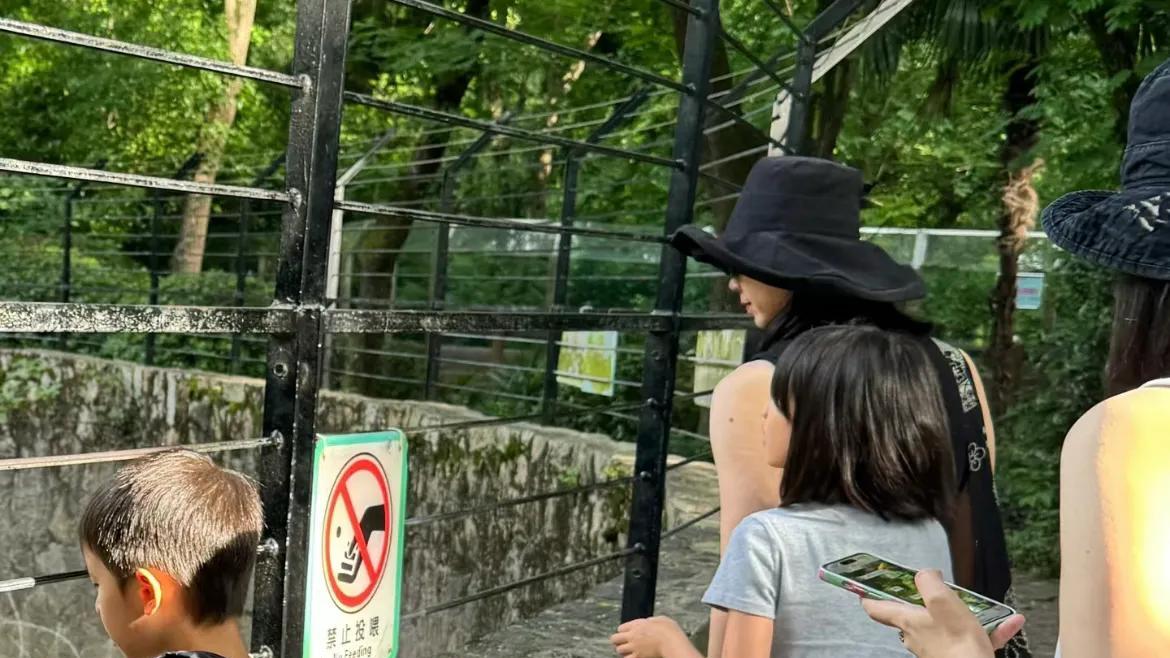 偶遇孙莉母子四人游动物园，多多身材气质好，妹妹长腿抢镜
