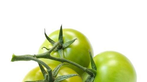 西红柿是怎么变红的？从生物化学角度解析番茄色泽变化