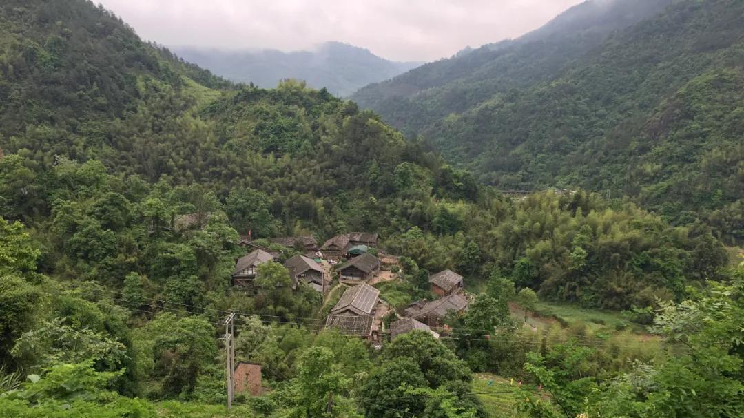 安全感：我们迫切地追求一种确定的原因