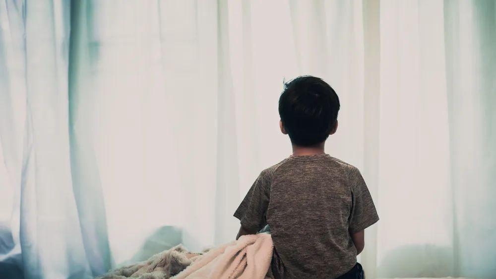 教育中的失范与反思：小学生在老师本上写脏话事件的启示