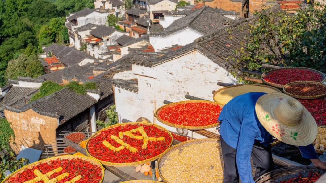 比起景德镇，我更爱国家地理推荐的宝藏小城