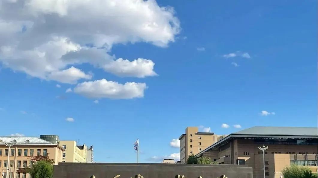 19所大学被列入黑名单，其中5所是纯211，制裁1中学1二本为哪般？