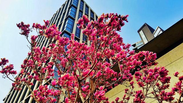 以实力论高低的世界里，提升自己才是王道