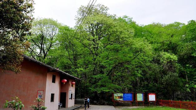 不足50米高的一座小山，号称第一山，国家领导人题字，太任性了