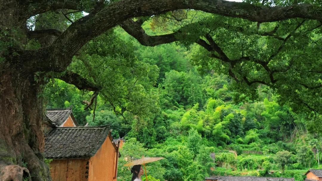 被《国家地理》评为“江南最后的秘境”美哭了，果然没有让我失望