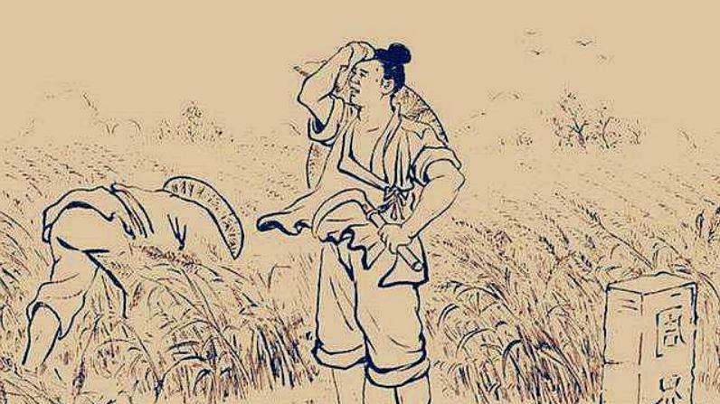 像农夫一样思考，人生就像种田；饲养员应看重猪，而不是饲料