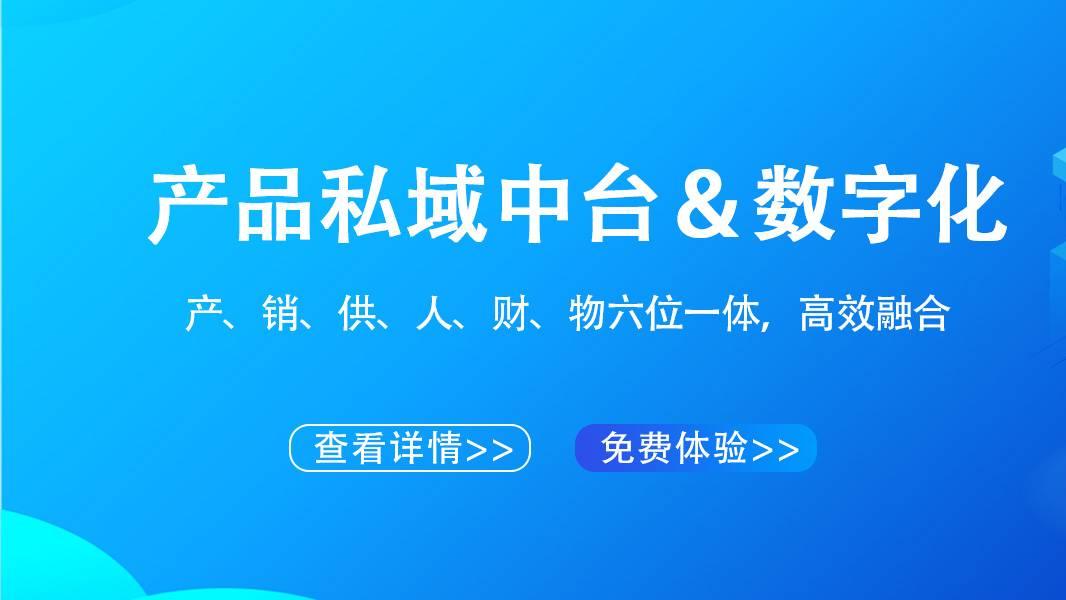 企业数字化进程中的问题与难点及解决方案