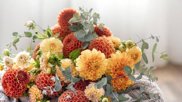 家是爱的港湾，不是坏情绪的垃圾桶