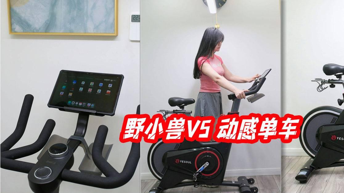 骑上野小兽V5 动感单车，开启家庭健身高效又舒适的在家健身选择
