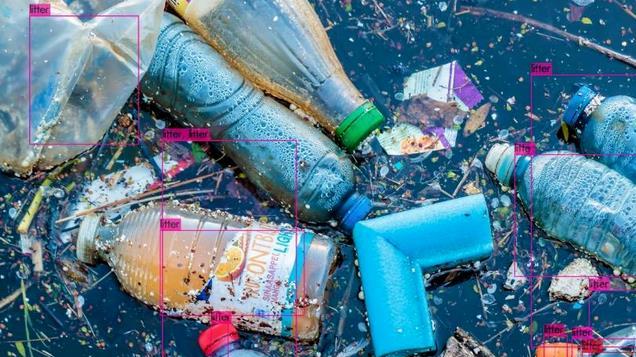 一个独居女学者，为研究“马粪”，在荒岛度过40年