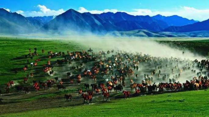 青春不止步：背起行囊，开启张掖的美好旅程