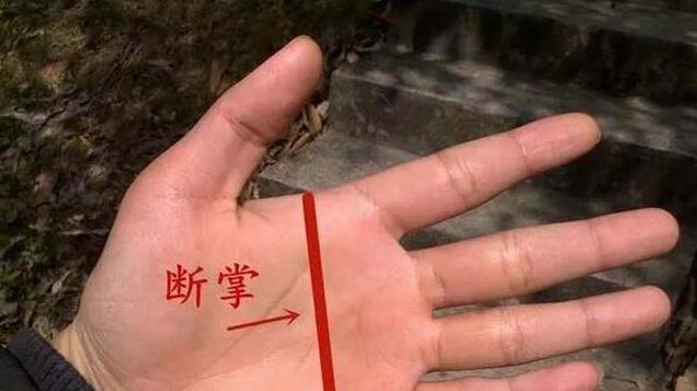 明年是蛇年，老人说“青蛇遇双春，断掌千两金”，断掌咋看？