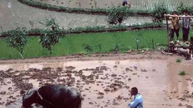 88年卫校毕业去男同学家玩，他母亲一眼相中我，一定要我做她儿媳