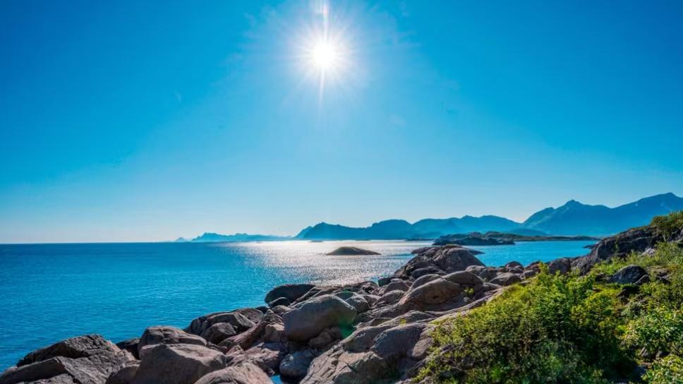 每个人心里永远都会有太阳活着！