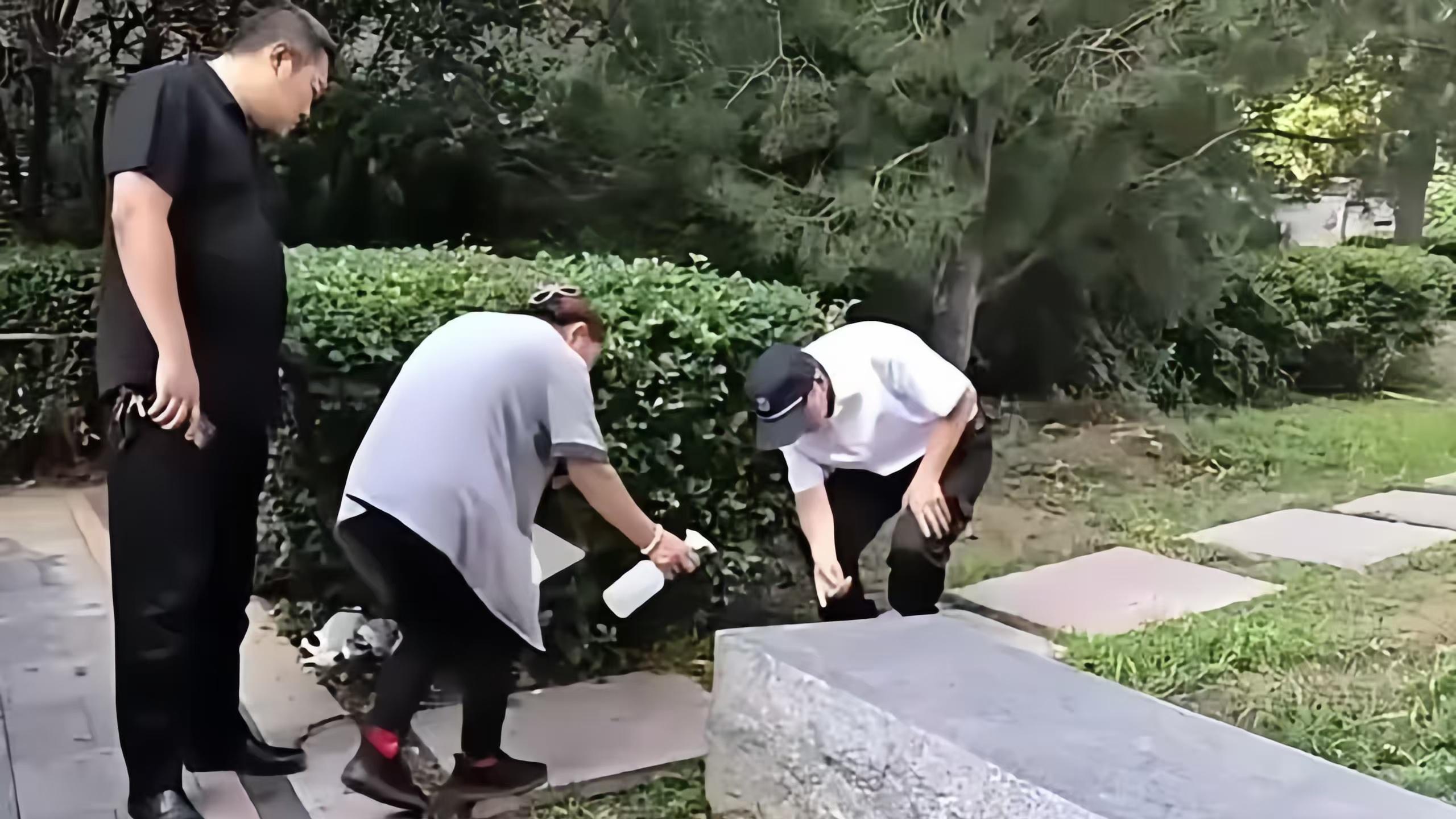 一女子小区内放生蟑螂！发现后反问业主“你凭什么拍我？”