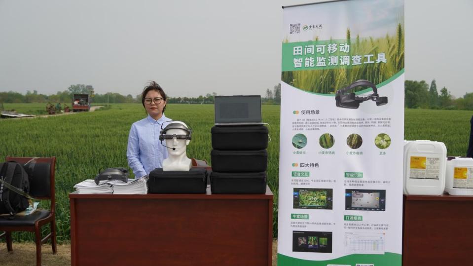 科技助力农业：金禾天成智能AR眼镜展示小麦田间调查“黑科技”